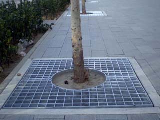 樹(shù)池溝蓋板 樹(shù)池溝蓋板